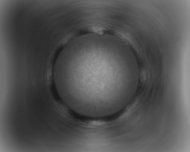 X0000089340360200706151047