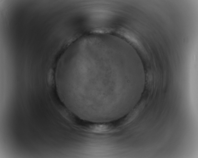 X0000089340361200706151047