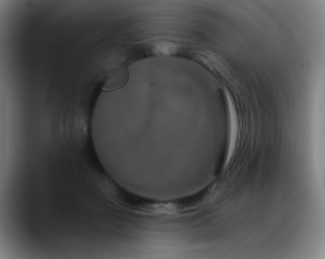 X0000089340363200706151047