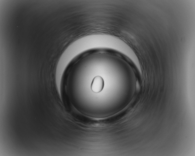 X0000089340364200706151047