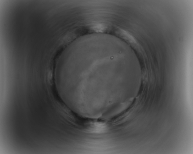 X0000089340365200706151047