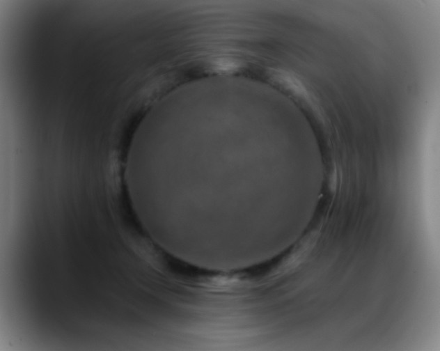 X0000089340366200706151047