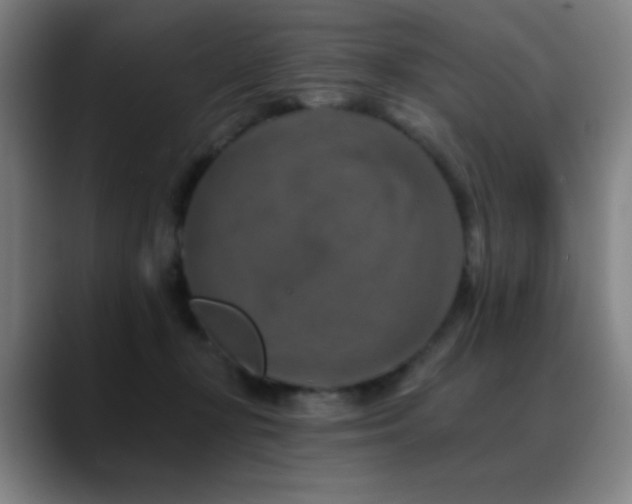 X0000089340367200706151047
