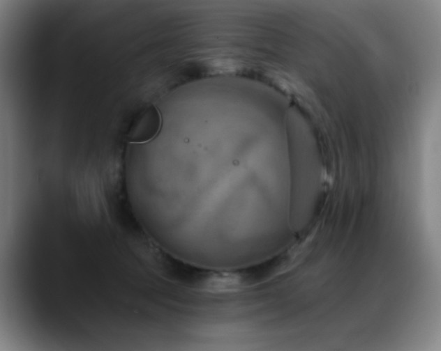 X0000089340369200706151048