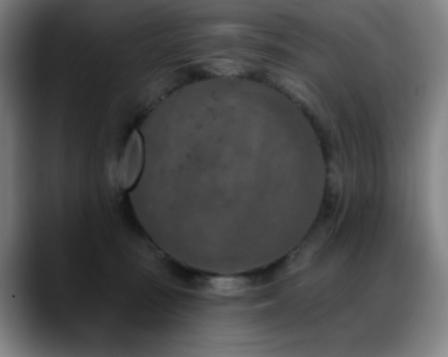 X0000089340371200706151048