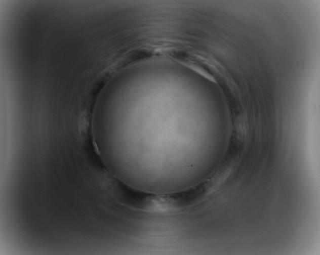 X0000089340372200706151048