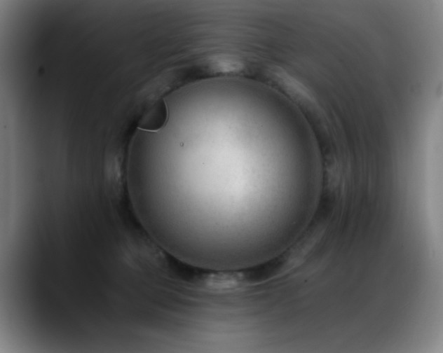 X0000089340373200706151048
