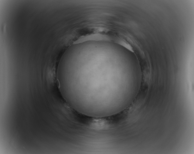 X0000089340376200706151048