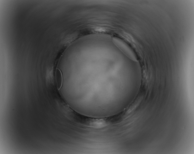 X0000089340377200706151048