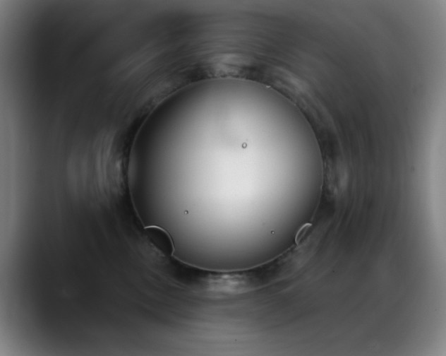 X0000089340378200706151048