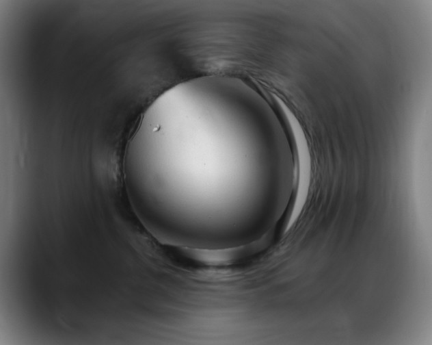 X0000089340380200706151048