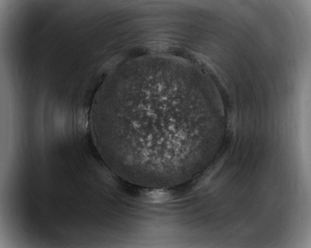 X0000089340383200706151048