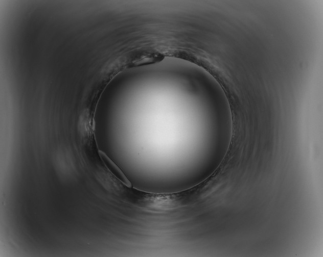 X0000089340384200706151048