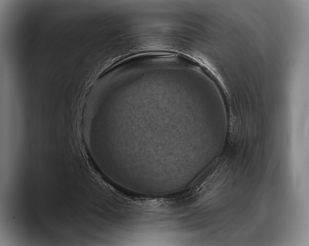 X0000089340385200706151047