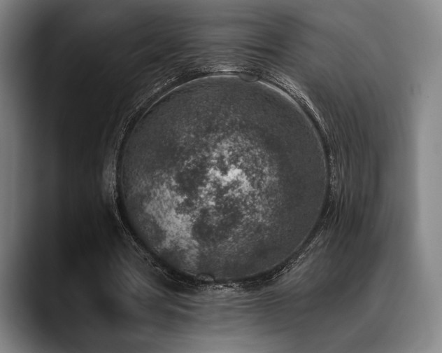 X0000089340386200706151047