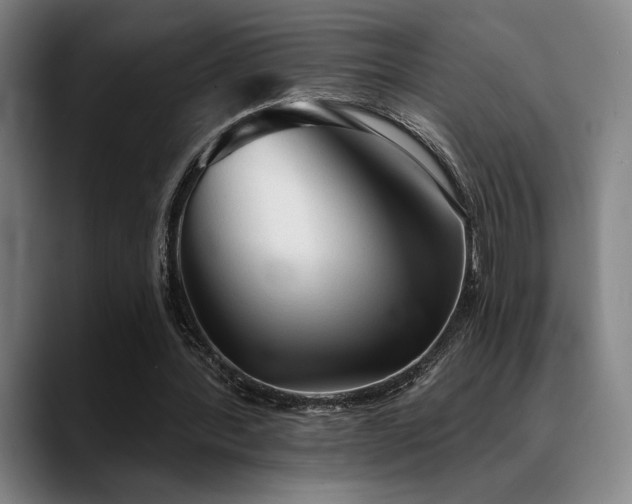 X0000089340388200706151047