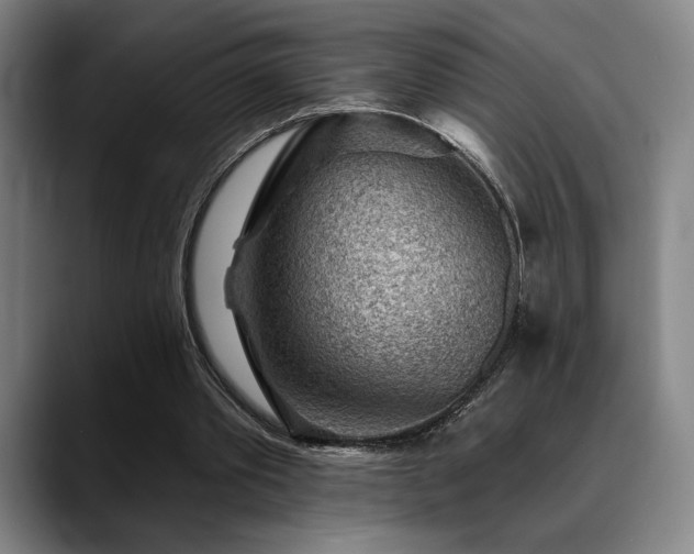 X0000089340389200706151047