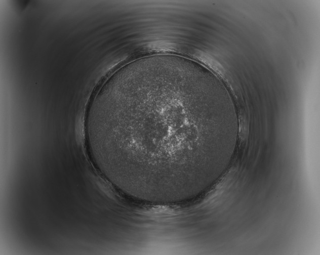 X0000089340390200706151047