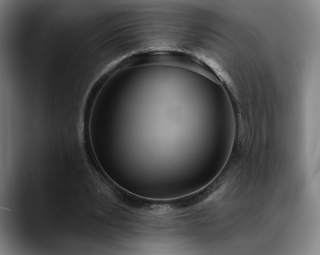 X0000089340391200706151047