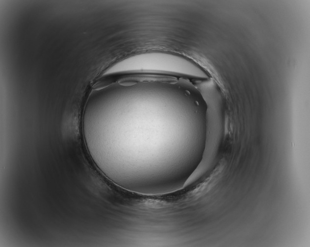 X0000089340393200706151047