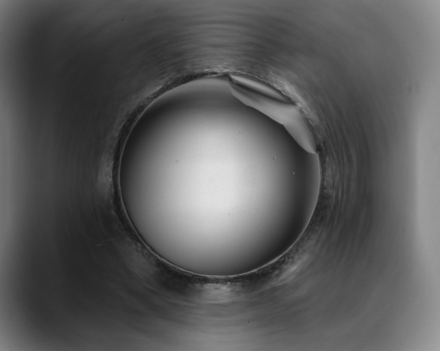 X0000089340394200706151047