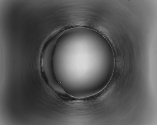 X0000089340395200706151047