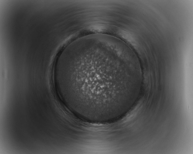 X0000089340399200706151047