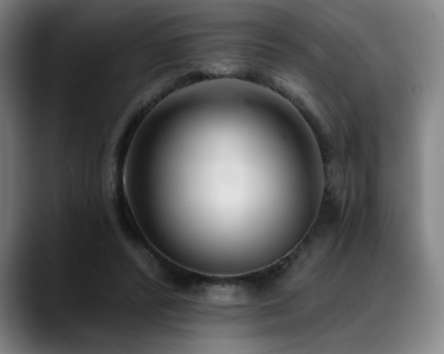 X0000089340400200706151047