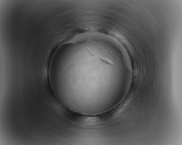 X0000089340401200706151047