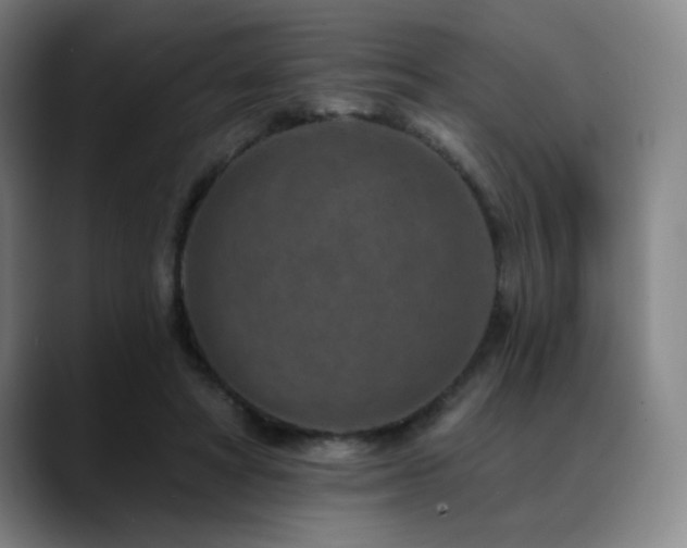 X0000089340402200706151047
