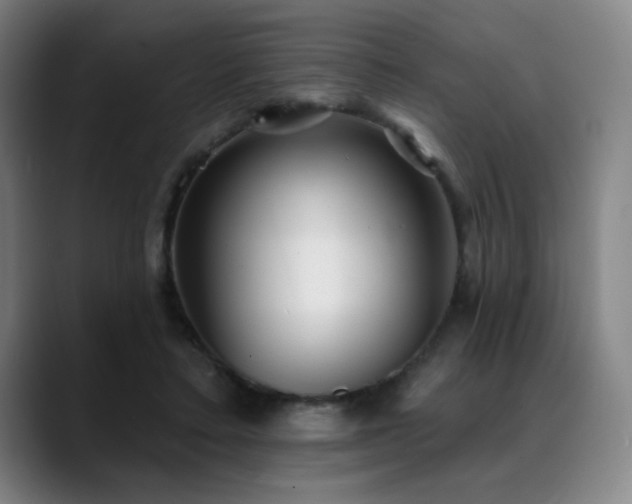 X0000089340403200706151047