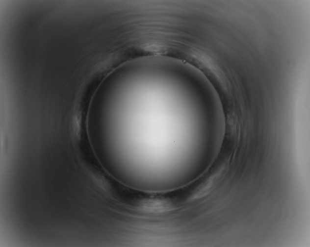 X0000089340404200706151047