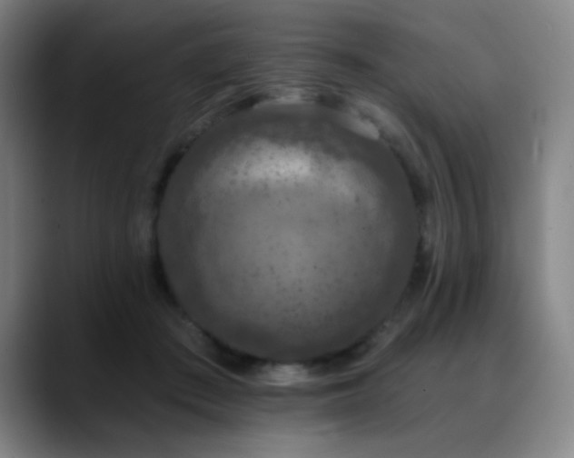 X0000089340409200706151047