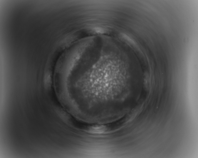 X0000089340410200706151047