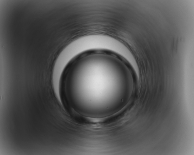 X0000089340411200706151047