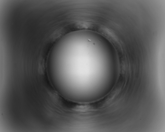X0000089340414200706151047