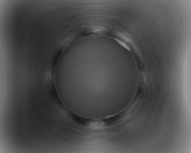 X0000089340415200706151047