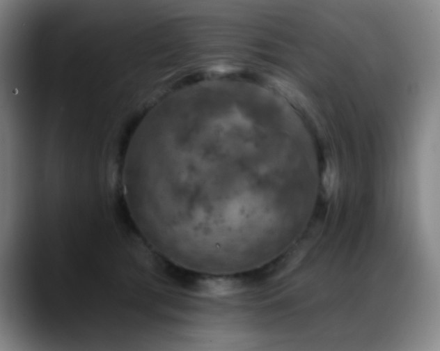 X0000089340417200706151047