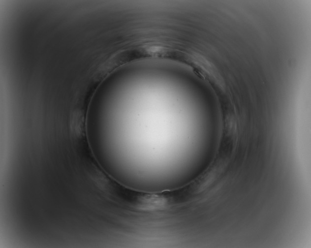 X0000089340421200706151047