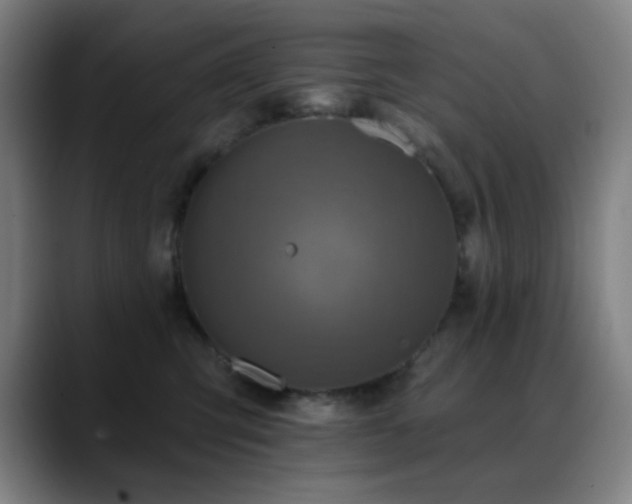 X0000089340423200706151047