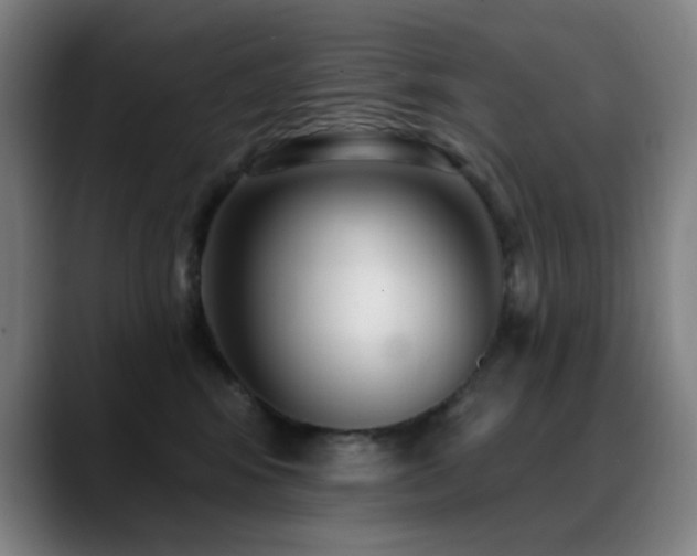 X0000089340424200706151047