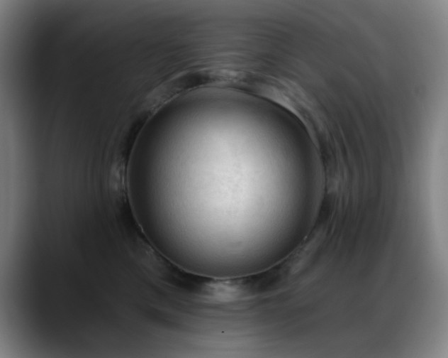X0000089340425200706151047