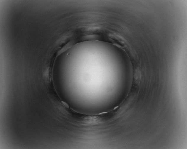 X0000089340428200706151047