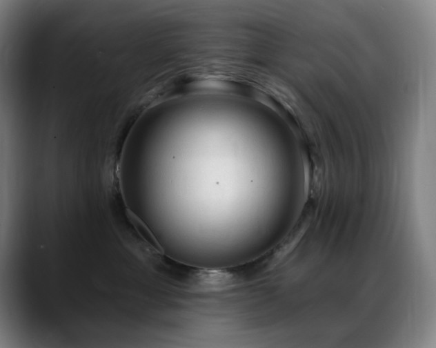 X0000089340429200706151047