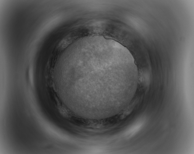 X0000089340431200706151047