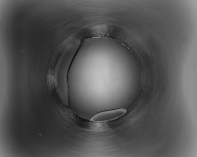 X0000089340432200706151047