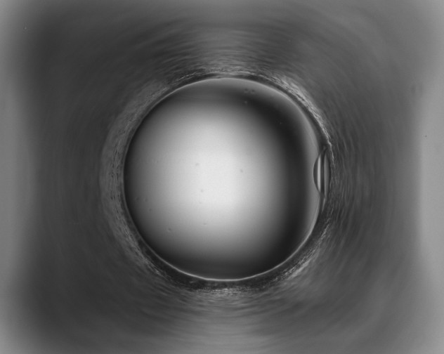 X0000089340433200706151046