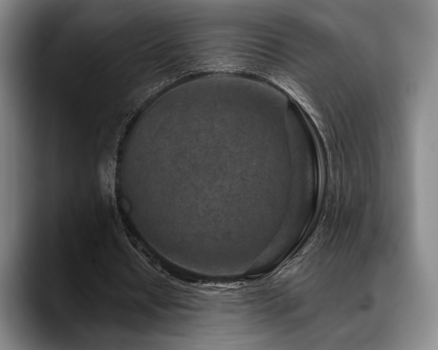 X0000089340434200706151046