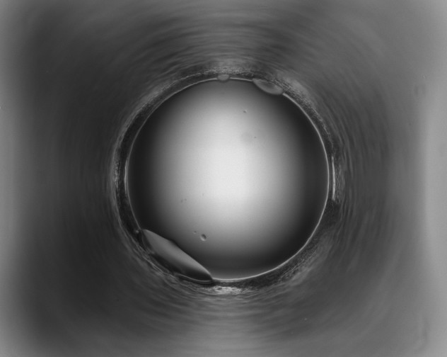 X0000089340435200706151046