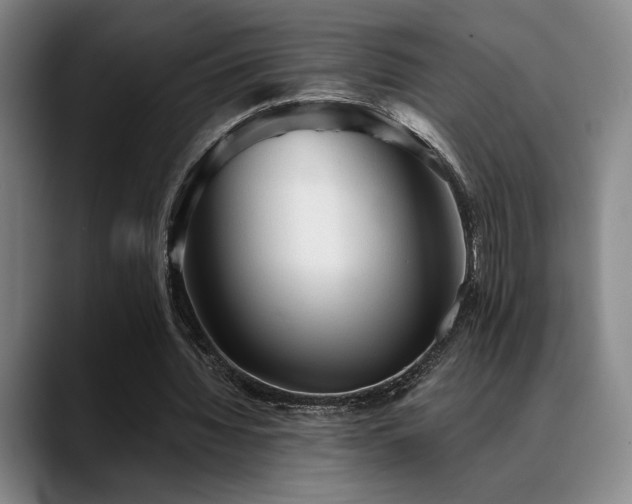 X0000089340436200706151046